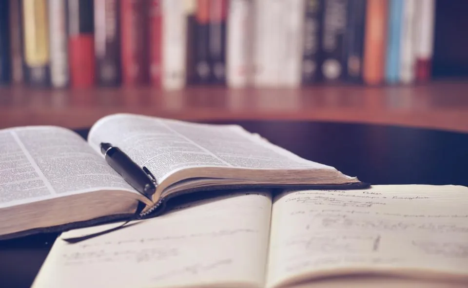How to Catch a Hallucinated Case Citation